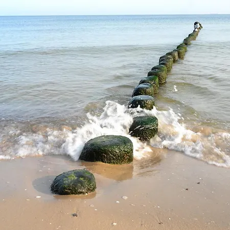 Seepark 808 아파트 제바트헤링스도르프